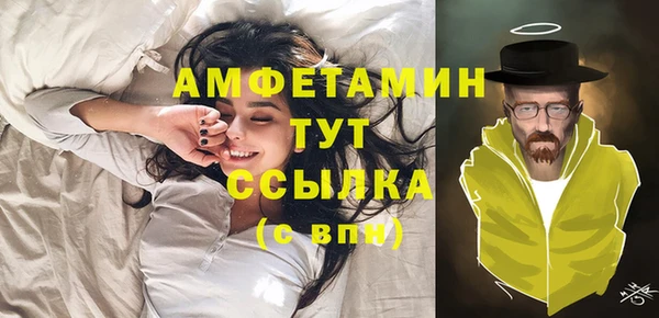 apvp Дмитриев