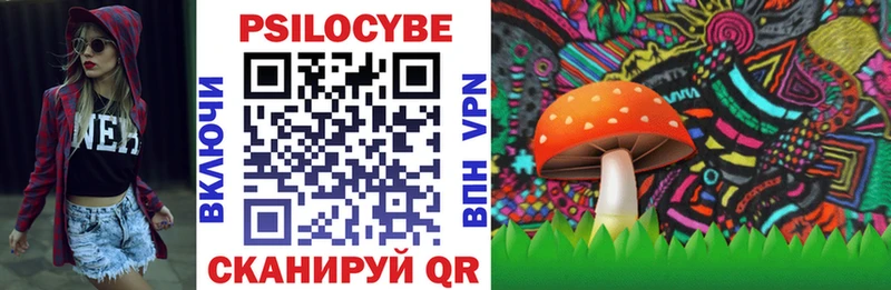 наркота  MEGA tor  Псилоцибиновые грибы Magic Shrooms  Чехов 
